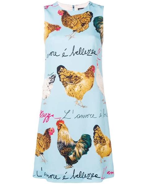 dolce gabbana chicken dress|dolce gabbana long evening dresses.